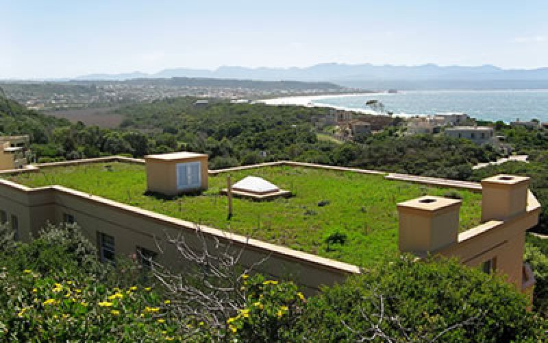 article-green-roof-example-03