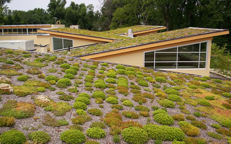 articles-green-roofing-1